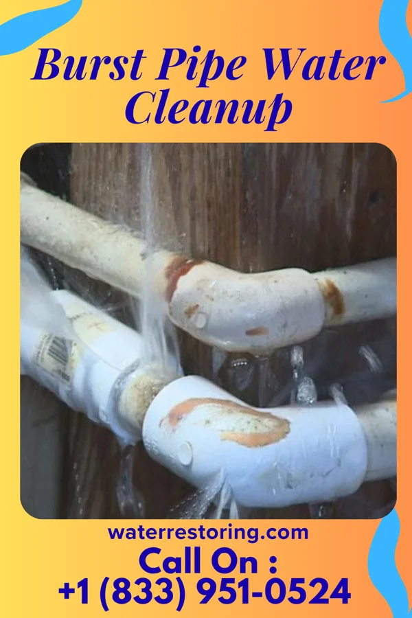 Burst Pipe Water Cleanup in Bonadelle Ranchos, CA