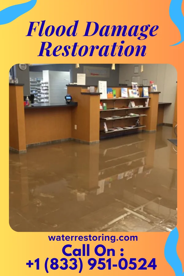 Flood Damage Restoration in Bonadelle Ranchos, CA