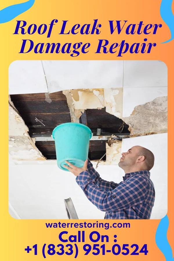 Roof Leak Water Damage Repair in Bonadelle Ranchos, CA